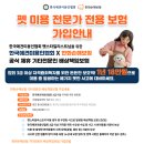 펫미용 네이버블로그