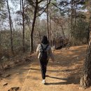 내포 홍예공원 | 내포 사색길 어린이 등산 후기