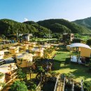 남노일로 이미지