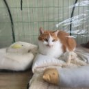 금동이네 이미지