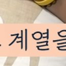 프로페시짐