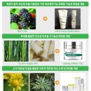 산림기술개발