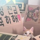 대전 육군종합군수학교 차륜형 장갑차 후반기 🪖 |해병대