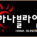 하나블라인드 Daum카페