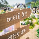 스포츠타운길 R 이미지