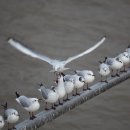 모치과기공소 이미지