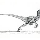 데이노니쿠스 이미지