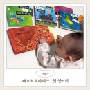 이렇게 읽어볼까 영어 그림책 1기 | 빼뜨르호라체크 전집 | 5개월 아기 첫 영어책 (엄마표영어)