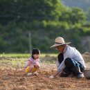 나의 사랑하는 생활/피천득(수필) 이미지