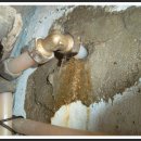 건승약국 이미지