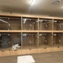 펫라운지 애견유치원 애견호텔 애견미용 이미지