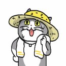 소락소락인제점 이미지