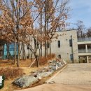 푸른 도서관 이미지