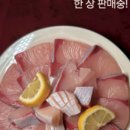 사이쵸 이미지