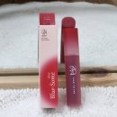 뉴-플래닛 | 쿨톤 벨벳틴트 추천 에스투엔디 뉴플레닛 블러썸 벨로우 틴트