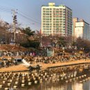 불광천5 이미지