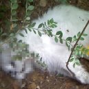 은비농장 이미지