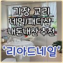 리아드 | 기장 교리 ‘리아드네일’에서 패디받은 후기(내돈내산)