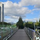 수영강 세월교 이미지