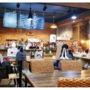 사파동113 이미지