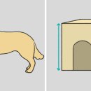 강아지집 이미지