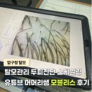 모블리스 | 강남 압구정역 탈모관리 두피진단 과한 권유 없는 모블리스 머머리쌤 후기