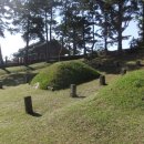 문경공고조기묘 이미지