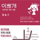 이쁘개 이쁘개 이미지