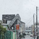 미래상사 | 진주 신점 백연화 후기