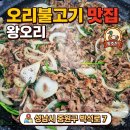 박석로 | 성남 중원구 상대원동 오리고기 맛집 왕오리
