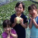 병환농장 이미지