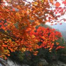 연지곤지 - 서산시 구진로 28 | 연지곤지