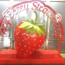 양선농장 이미지