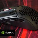 펄스코리아 이미지