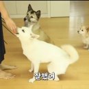 중사지농장 이미지