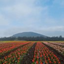 이가농장 이미지