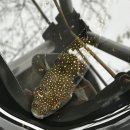 이마트24 태안안면도점 이미지