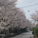 장어본부 이미지