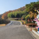 낙동강 따라 걷기29(이방정류장-합천창녕보-적포교) 이미지