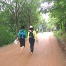 [6월 정기도보-100626(토)] 대전 계족산 황톳길 맨발로 걷기 이미지