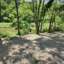 오래캠핑장 이미지