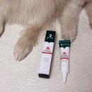 마이펫톡톡 이미지