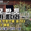 영천남부공인중개사사무소 이미지