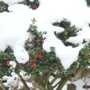 함평자연생태공원 이미지