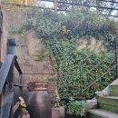 곰배령 주니네 | 부산 북구 만덕 개별 룸식당 곰배령가든 내돈내산 오리고기 맛집