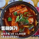 밥도둑 등극한 갈치조림 | 종로 동해어가 점심 특선 후기