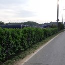 송산4리 이미지