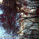 연아공인중개사사무소 이미지