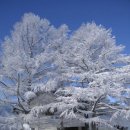 산재 요양보호사교육원 이미지