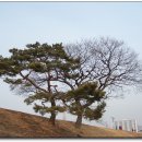 여기산공원 이미지